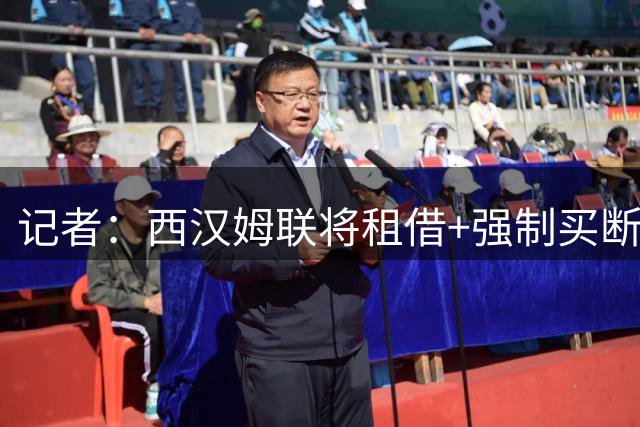 记者：西汉姆联将租借+强制买断签利兹联前锋皮罗，球员获准体检